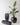 Grouping of three tapered square planters Athena planters in black, in three sizes, one with a green leafy plant inside.