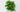 BioMontage® LIVE!