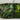 Green Walls