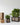 Wood Planters