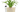 Sub-Irrigation