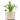 Sub-Irrigation
