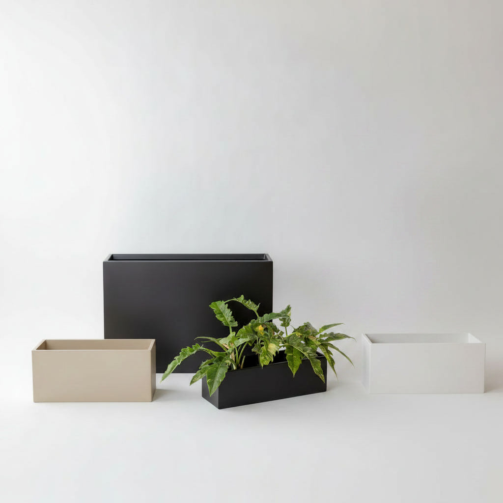 Rectangles – ASI