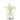 An illustrated cross-section of a planter with a plant, showing the sub-irrigation, root system, drainage layer, and water level.