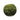 Loose Moss