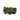 Loose Moss