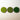 Moss Circles in three green shades