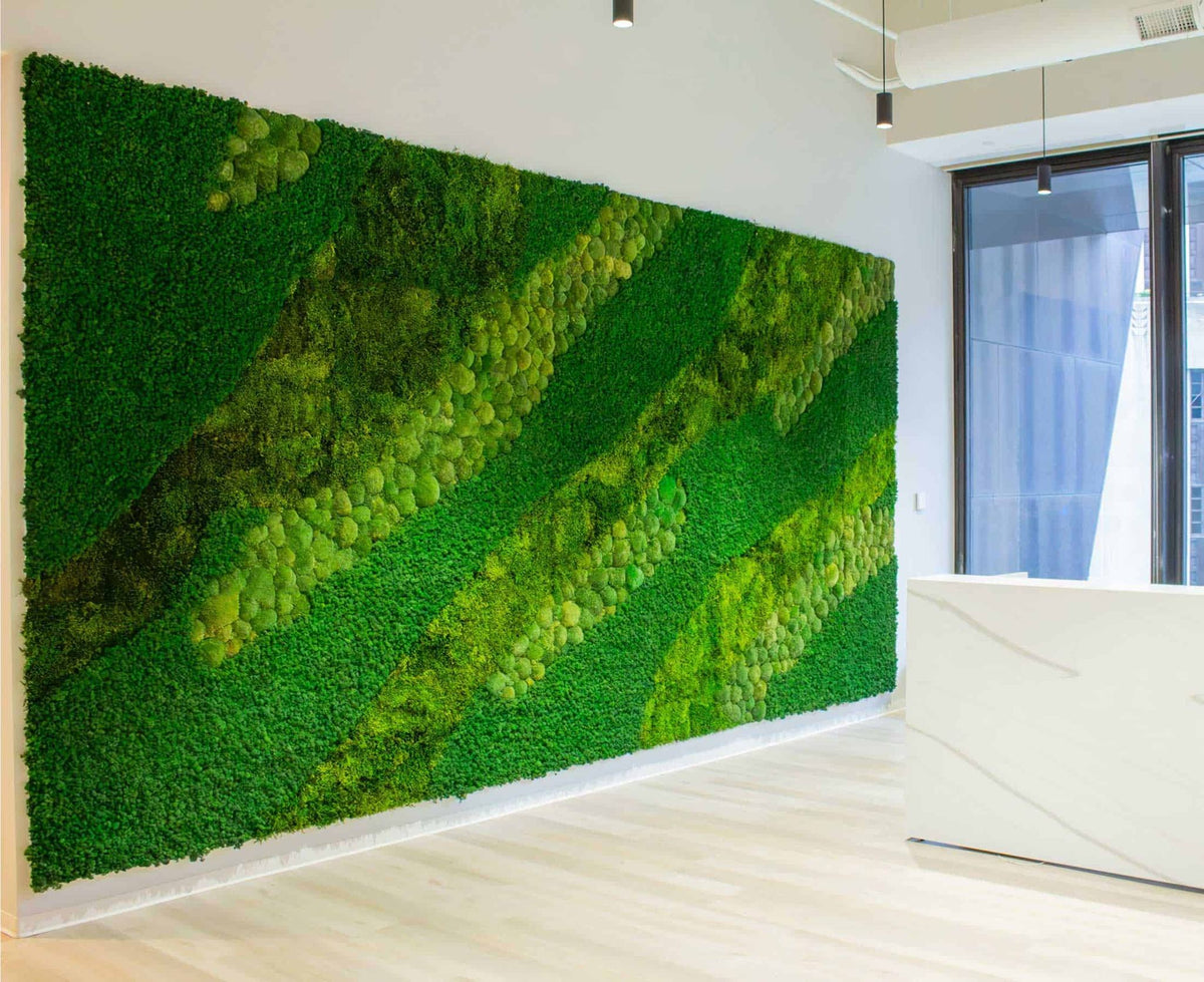 Custom preserved moss wall in an office lobby